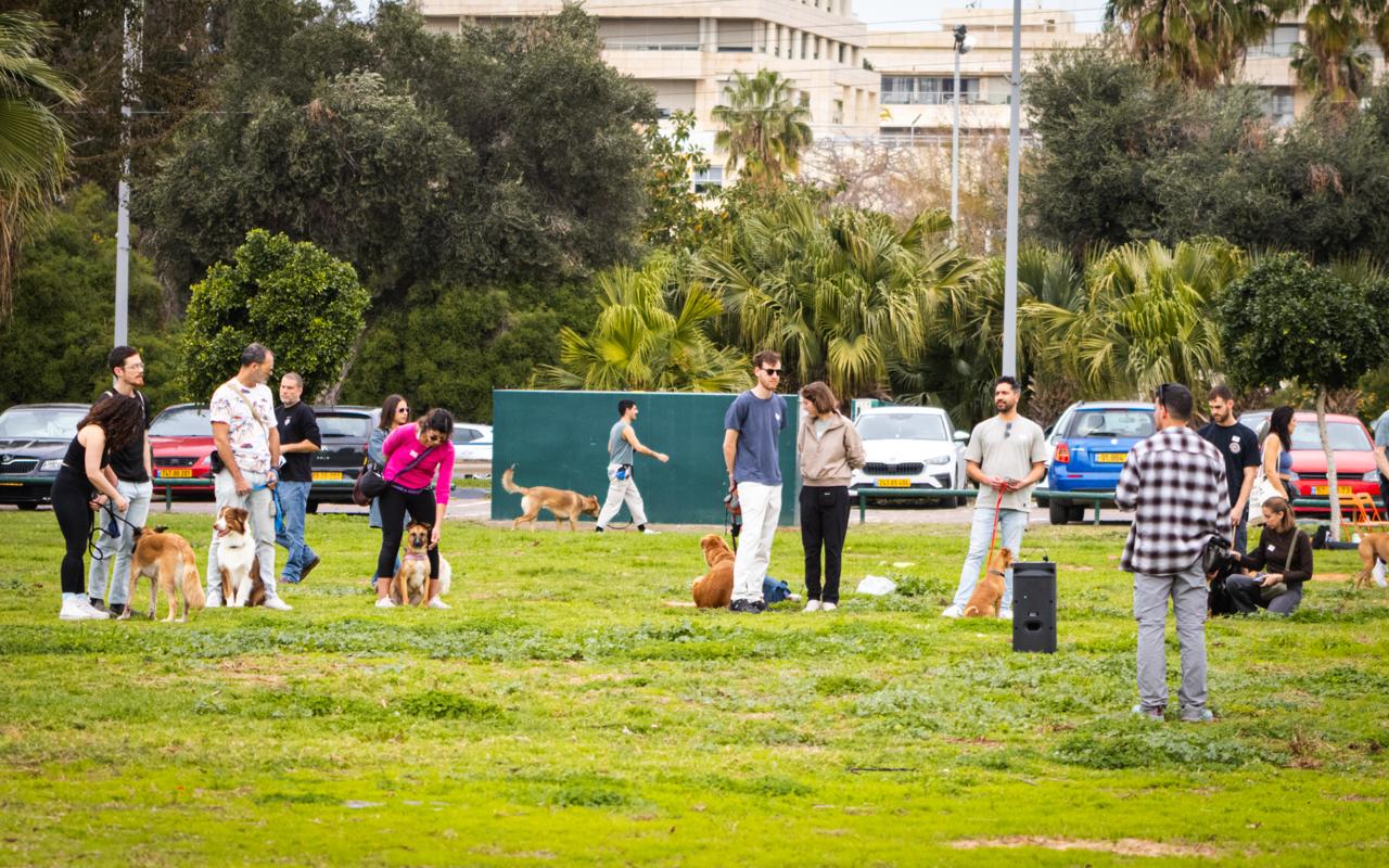 משתתפים עם כלביהם בסדנה בספורטק תל אביב