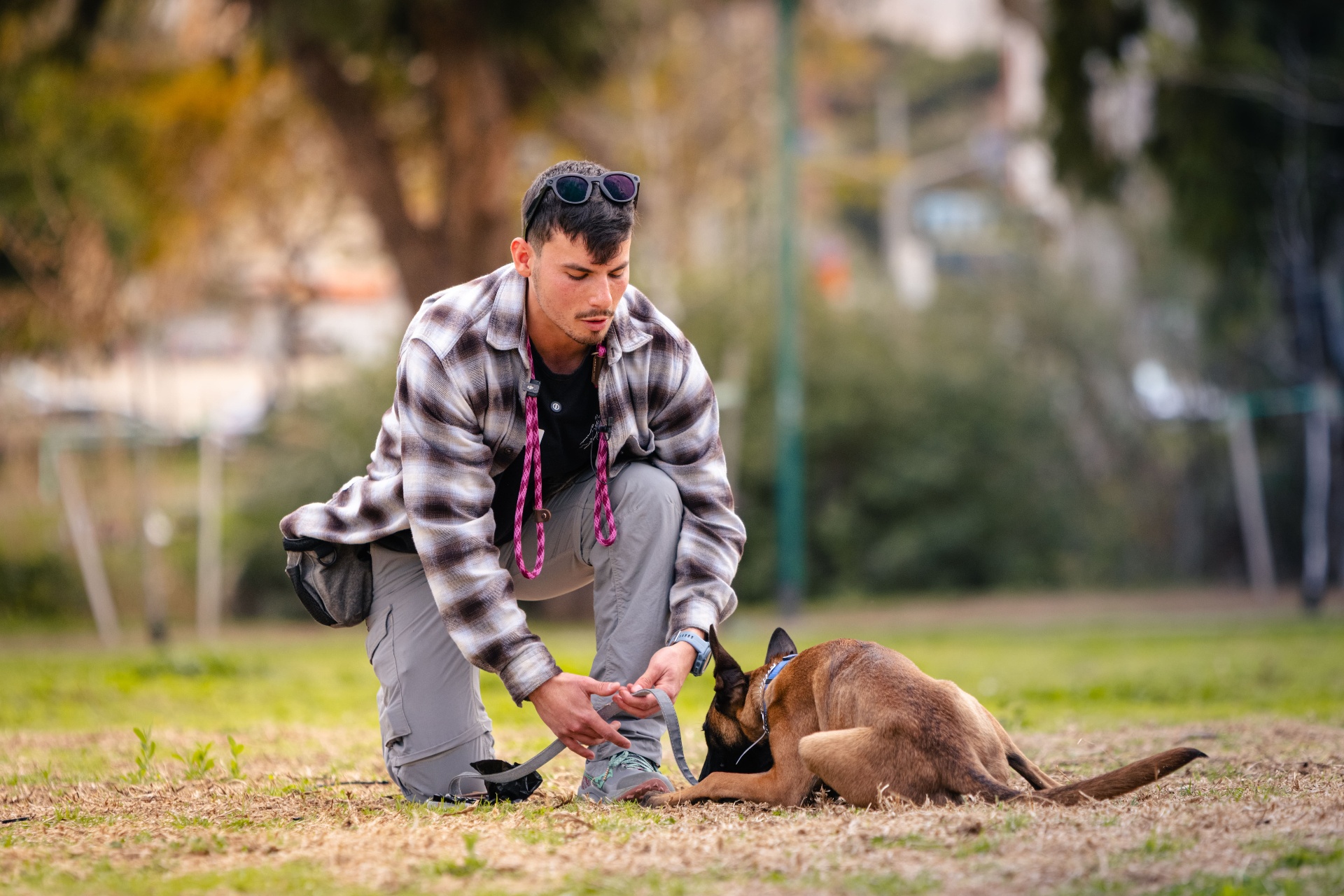 יואב עובד אחד על אחד עם כלב